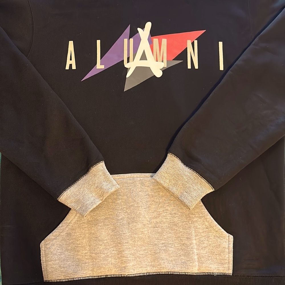 Men’s Alumni Hoodie View 2